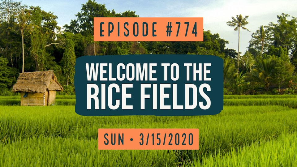 Welcome Rice #0774: Welcome To The Rice Fields – Ladle.TV
