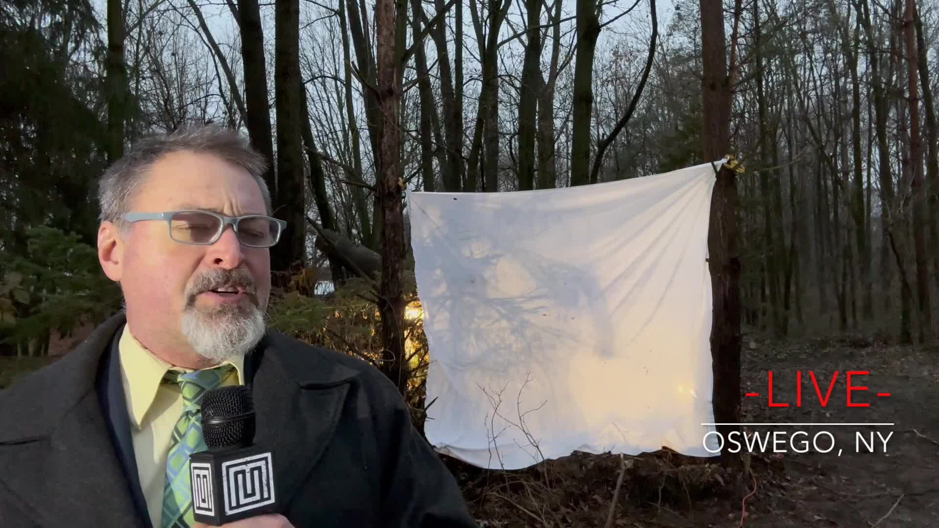 Dynonewsstory2 000000